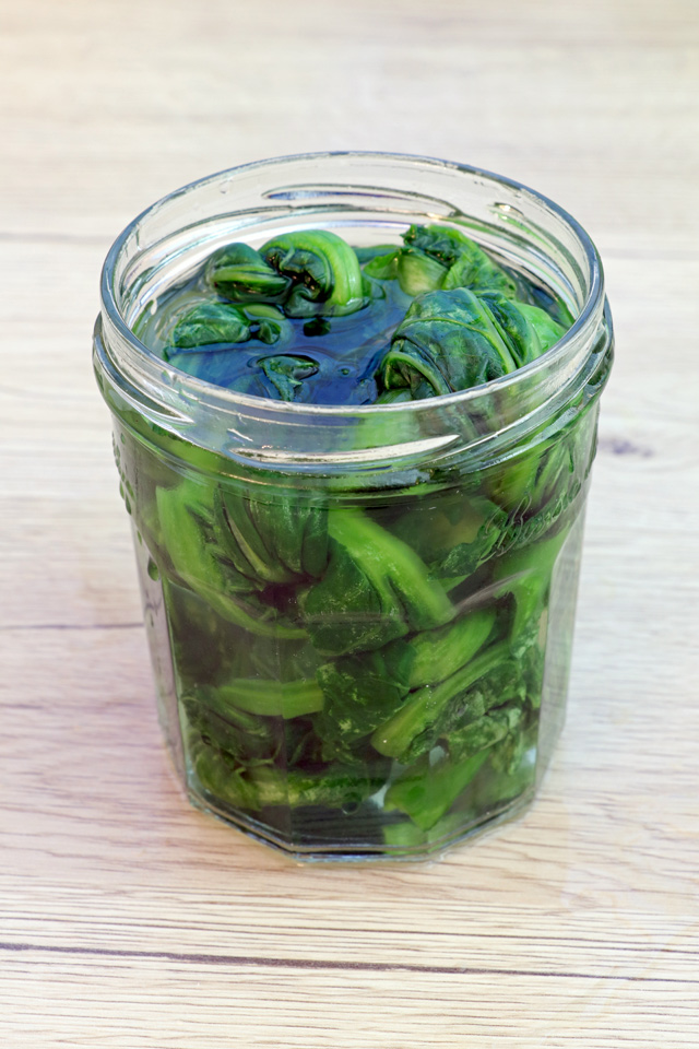 Learn how to make pickled mustard greens! | www.foxyfolksy.com