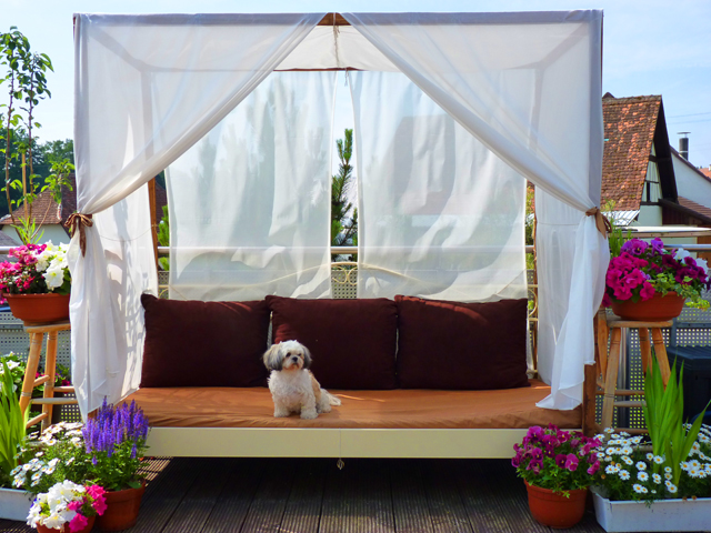 DIY Canopy Bed outdoor Foxy Folksy