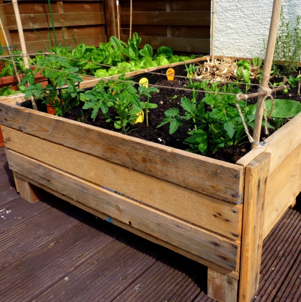 Image of Pallet box planter for garden