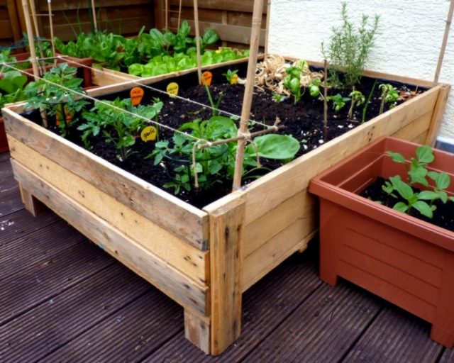 Container Gardening Diy Planter Box, How To Make A Vegetable Garden With Pallets