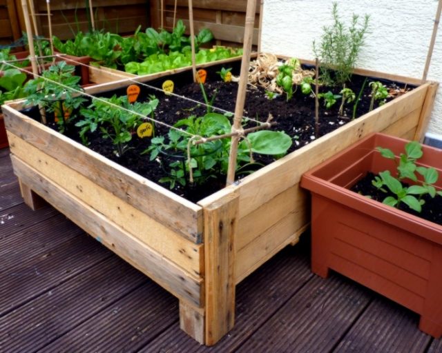 Container Gardening: DIY Planter box from pallets - Foxy Folksy