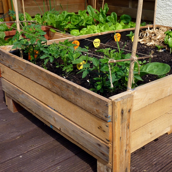 planter box