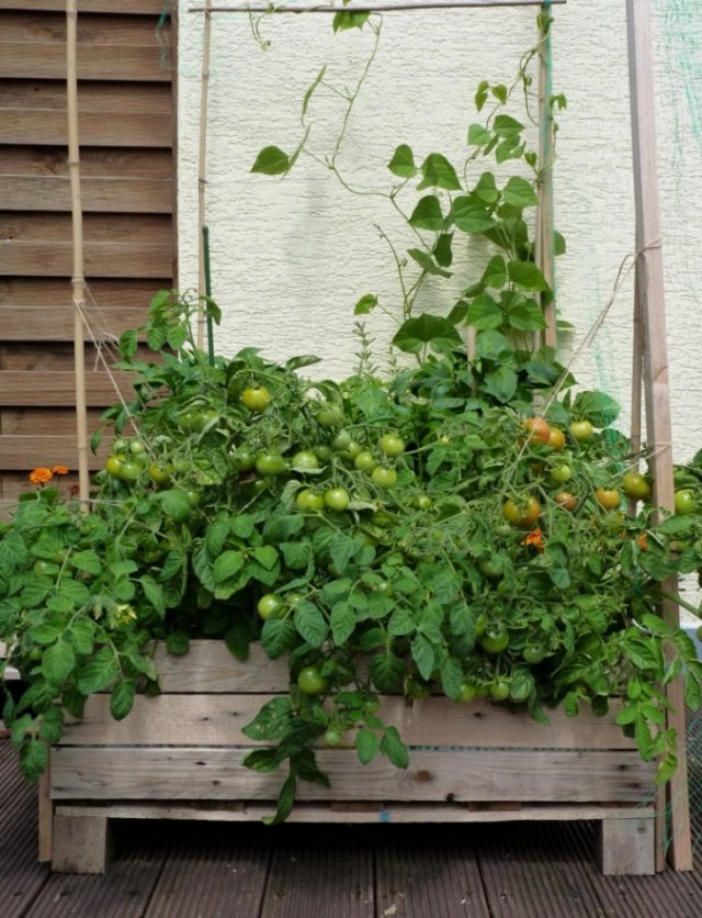 Container Gardening: DIY Planter box from pallets - Foxy Folksy