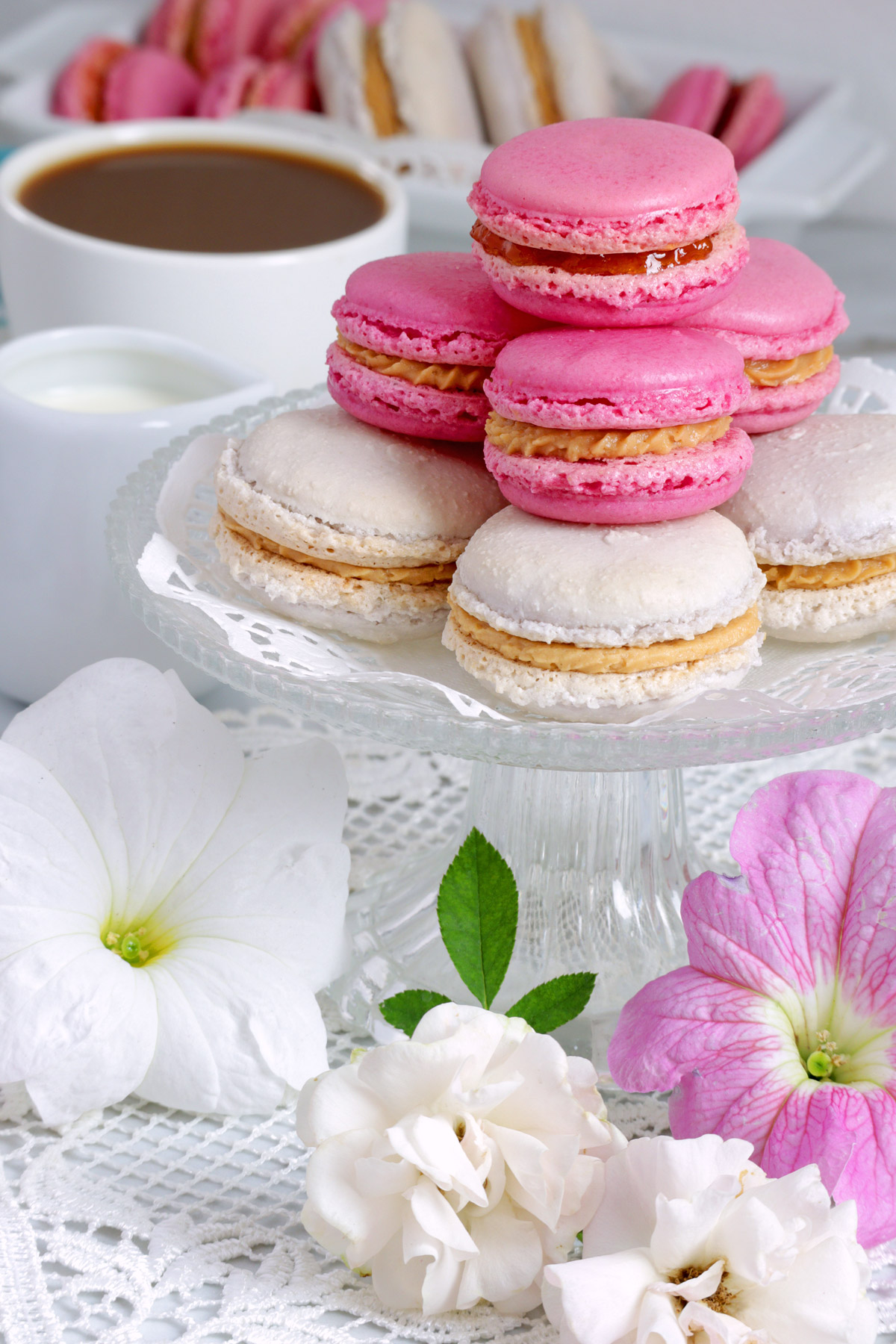 french macarons with reduced sugar