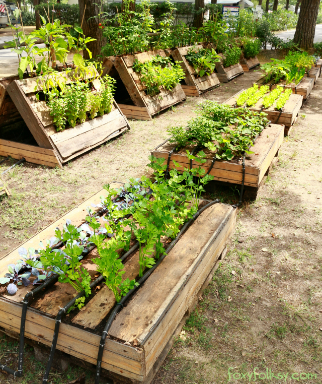 pallet garden