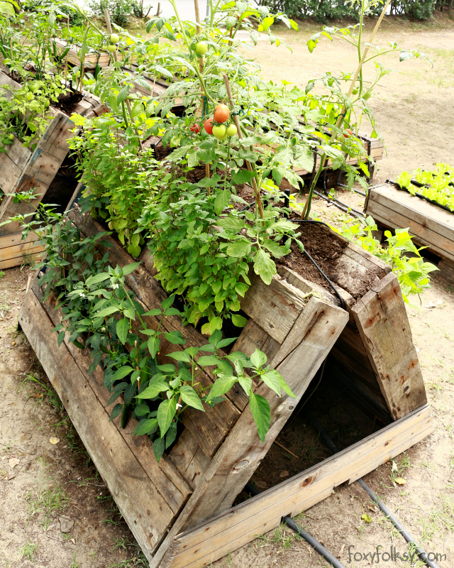 pallet gardening