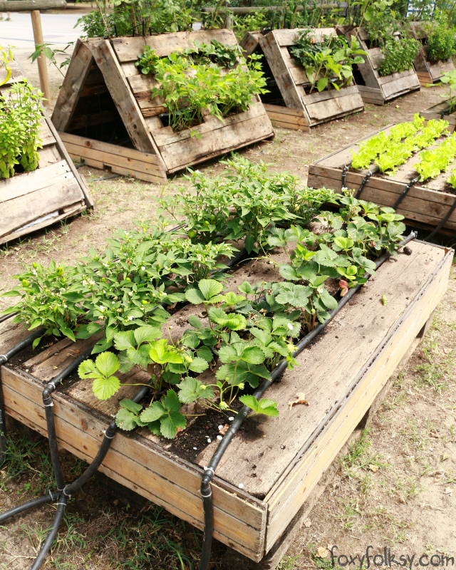 pallets garden