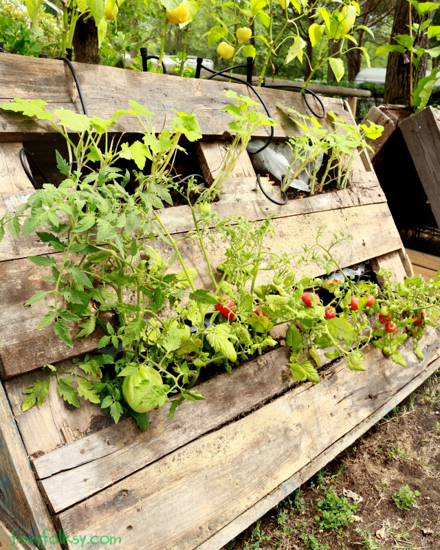 raised garden bed