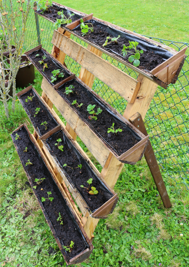 Container Gardening: DIY Planter box from pallets - Foxy Folksy