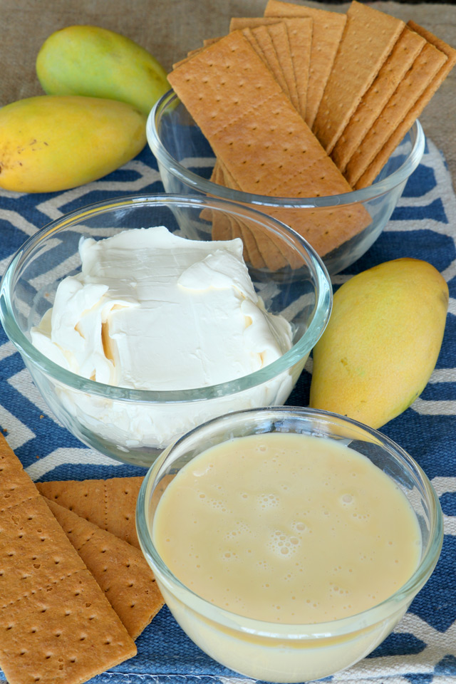 Ingredients for making mango float