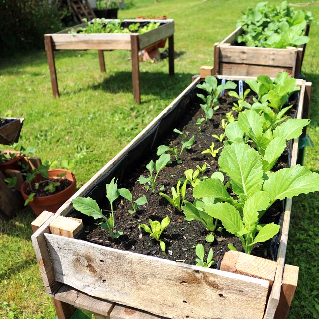 Easy DIY Elevated Planter Box from Pallet. | www.foxyfolksy.com