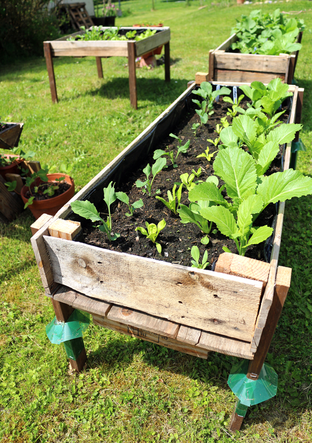 CONTAINER GARDENING: Easy DIY Elevated Planter Box from Pallet