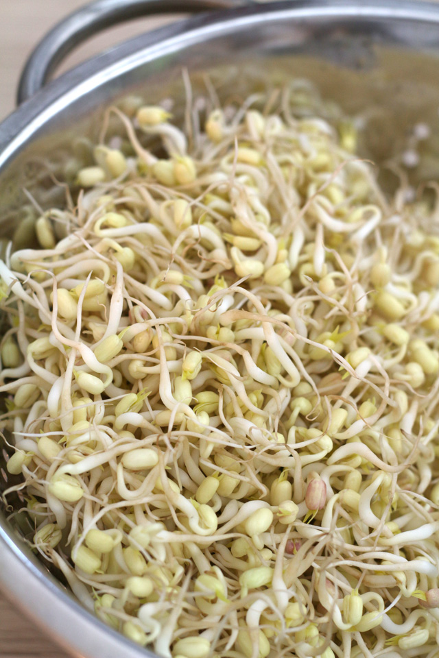 Learn how to sprout mung-beans (Munggo) in Jars in only 3 days! | www.foxyfolksy.com