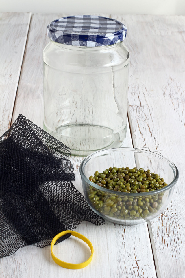 Grow your own Mung-bean (Munggo) sprouts in Jars! | www.foxyfolksy.com