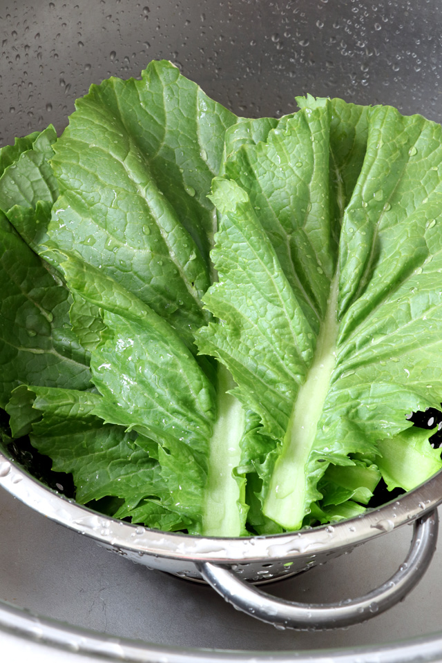 Learn how to make pickled mustard greens! | www.foxyfolksy.com