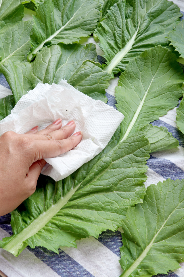 Learn how to make pickled mustard greens! | www.foxyfolksy.com