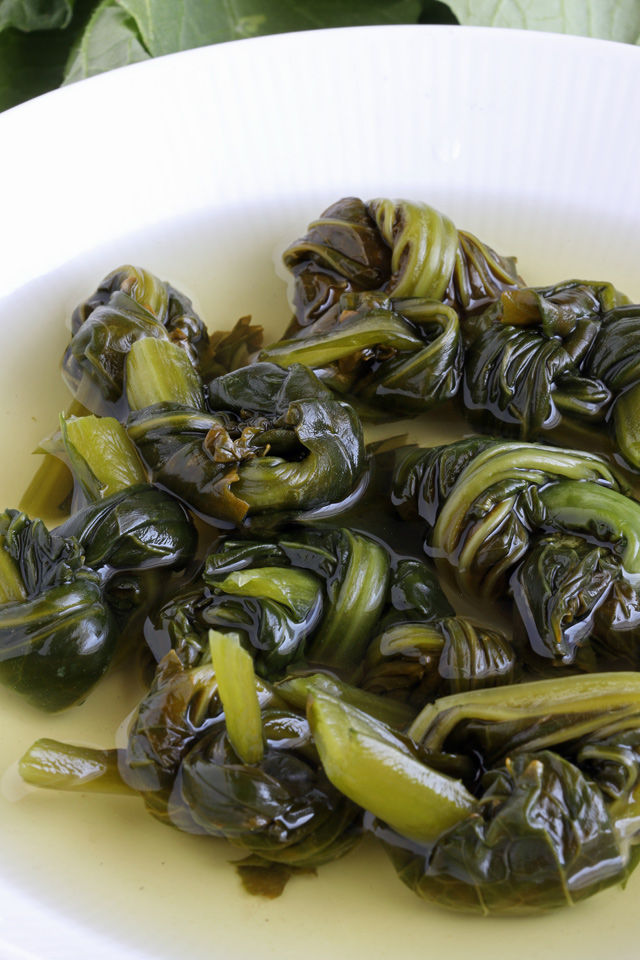 Learn how to make pickled mustard greens! | www.foxyfolksy.com