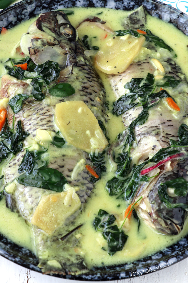 Try this creamy and spicy, Ginataang Tilapia (Tilapia in coconut milk) recipe. All done in less than 15 minutes! | www.foxyfolksy.com 