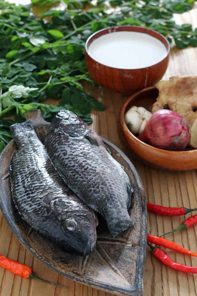 Try this creamy and spicy, Ginataang Tilapia (Tilapia in coconut milk) recipe. All done in less than 15 minutes! | www.foxyfolksy.com