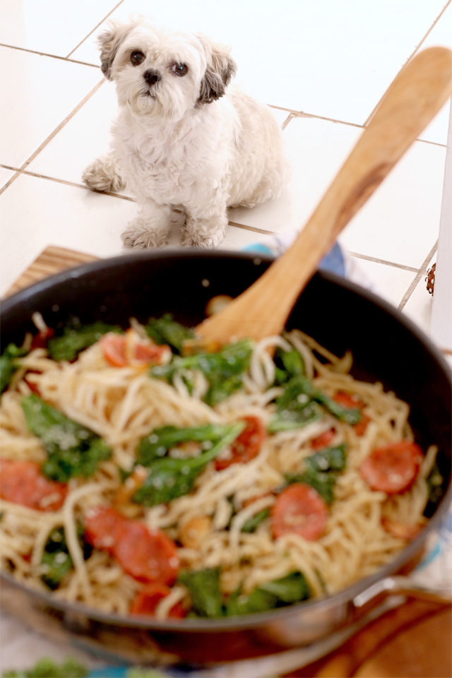 my dog looking at the kale pasta