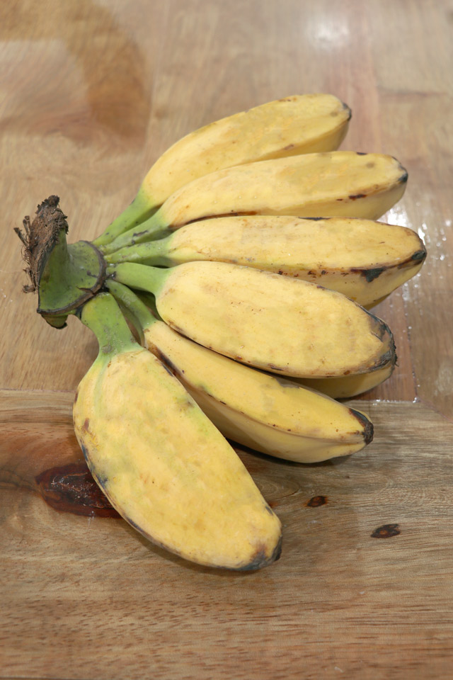 Plantain Banana or Saba for making Turon