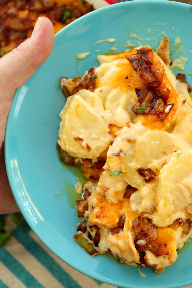 Potato Cheese Casserole with scalloped potatoes