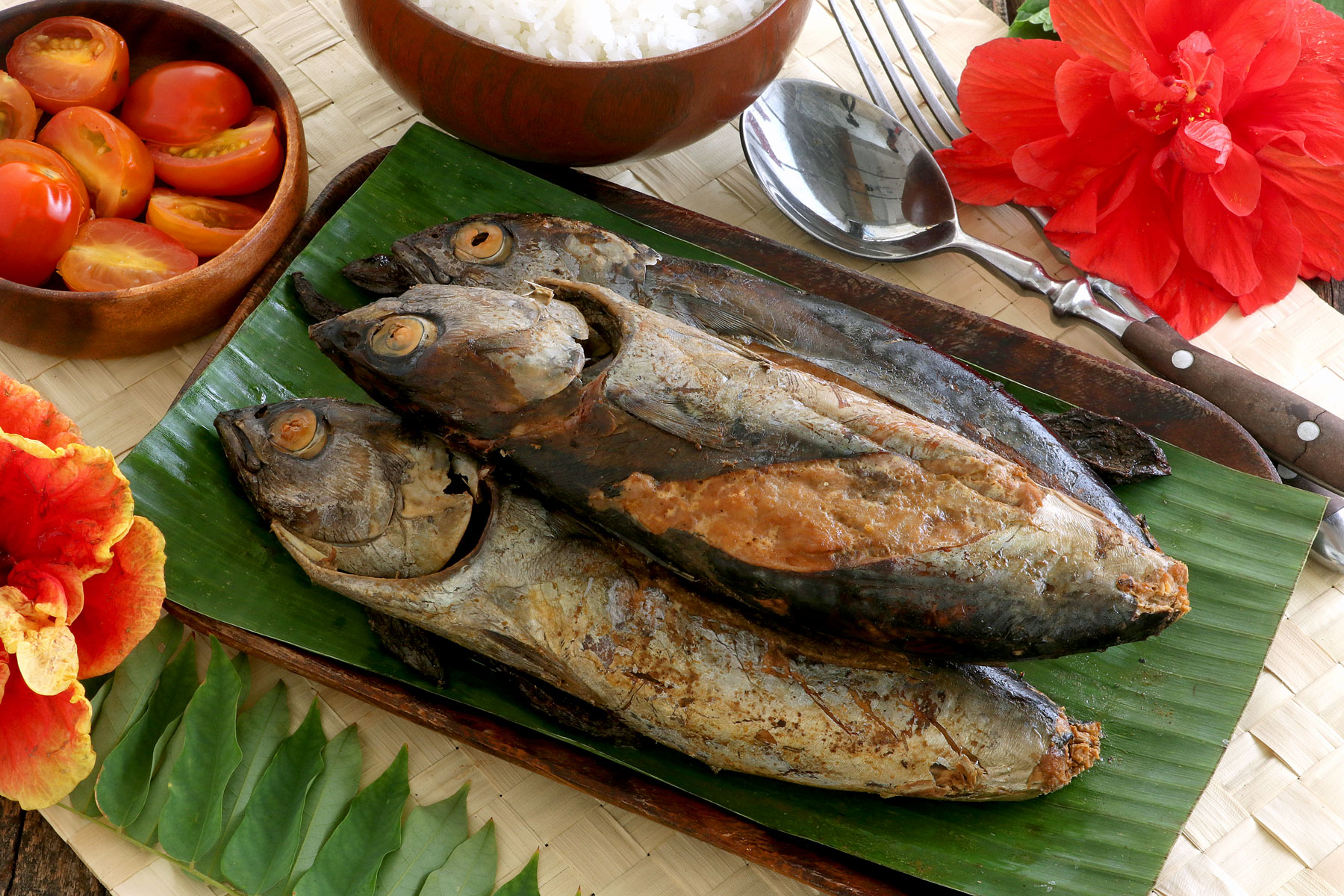 Tulingan Fish or Bullet Tuna