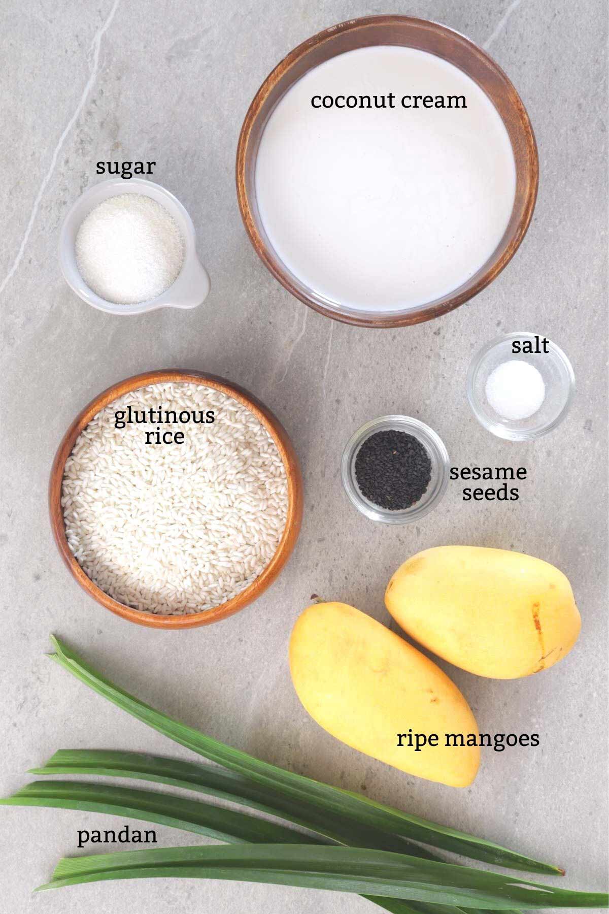 Ingredienst for making Mango Sticky Rice